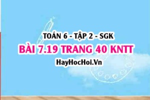 Bài 7.19 trang 40 Toán 6 Tập 2 Kết nối tri thức